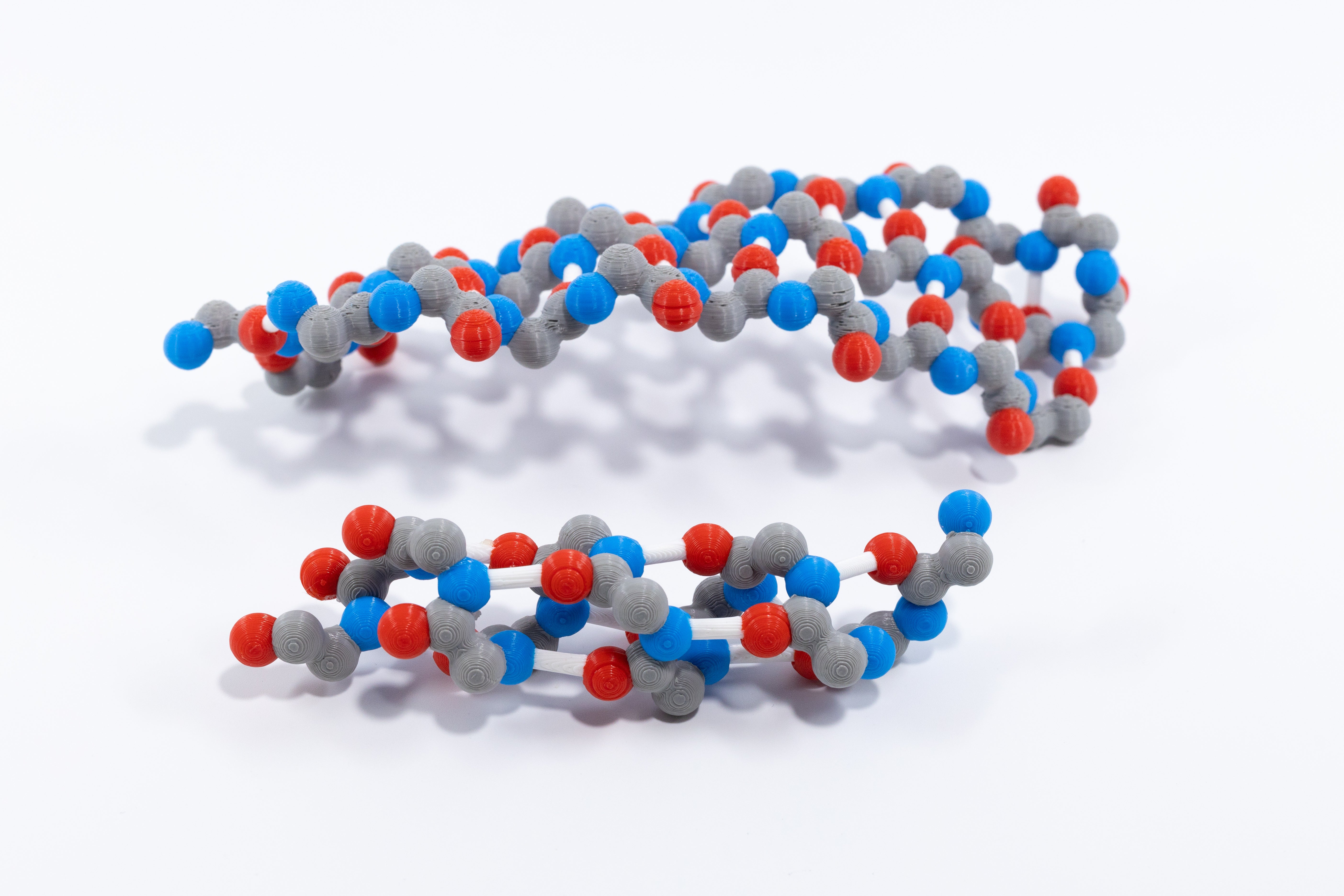 Alpha Helix & Beta Sheet Secondary Structure Set©