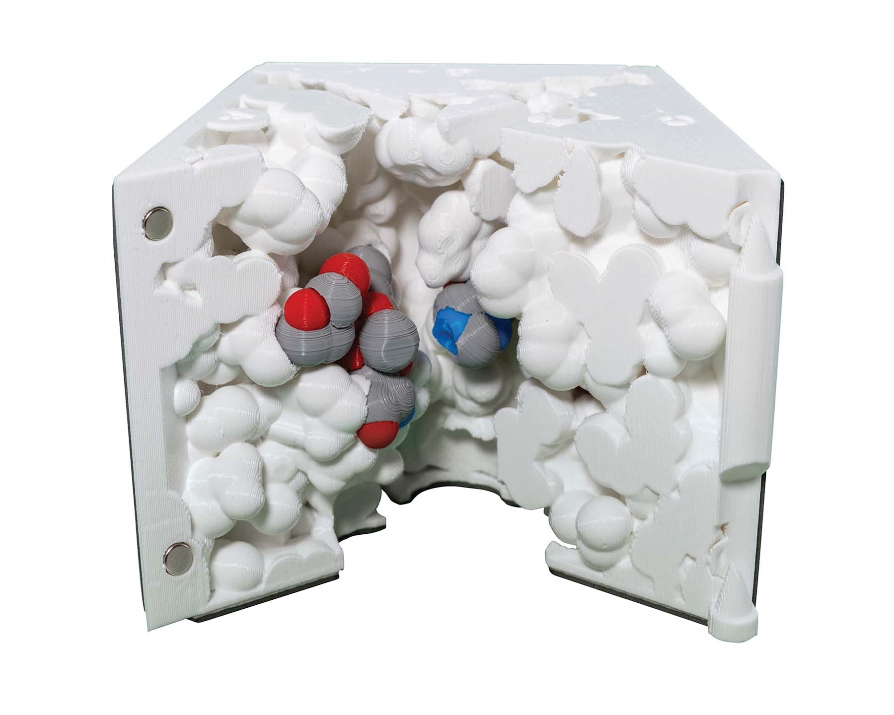 Acetylcholinesterase Active Site Mighty Model©