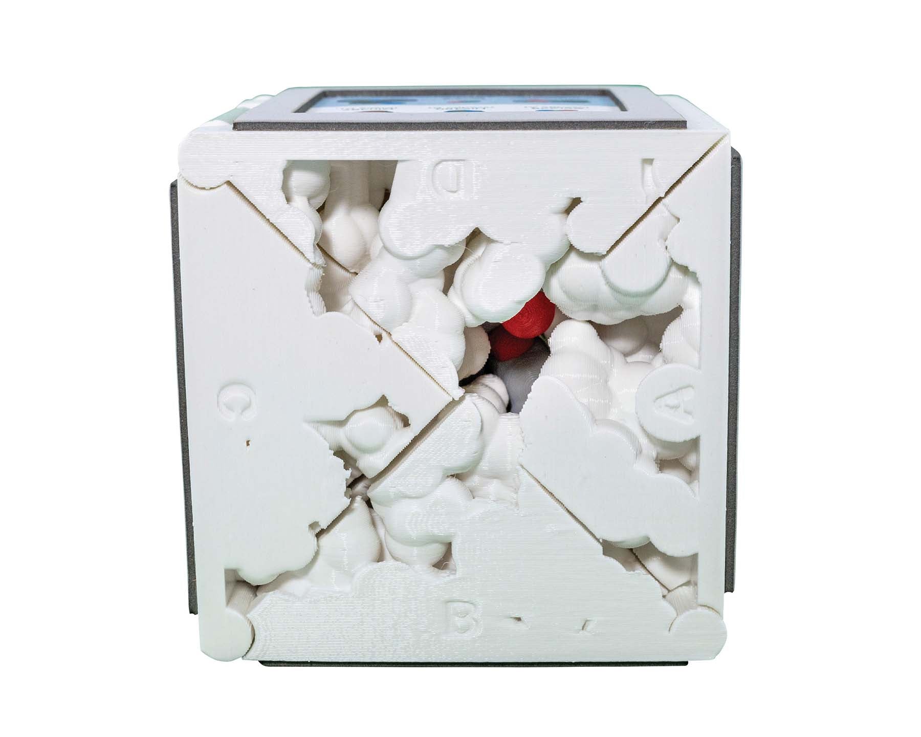 Acetylcholinesterase Active Site Mighty Model©