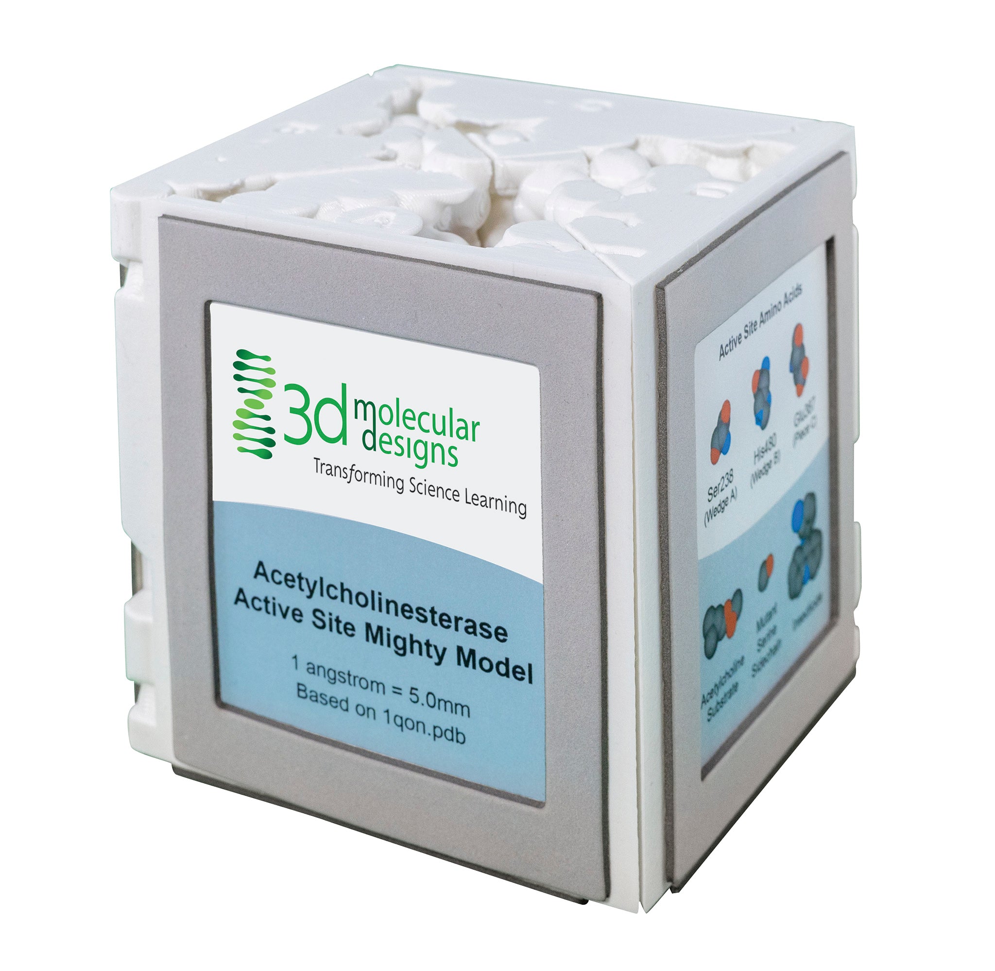 Acetylcholinesterase Active Site Mighty Model©