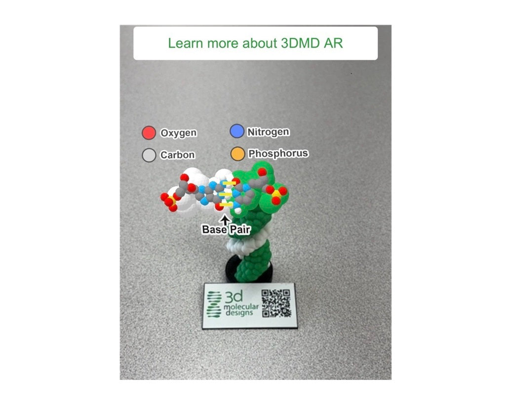 AR-Enhanced DNA Helix Micro-Model©