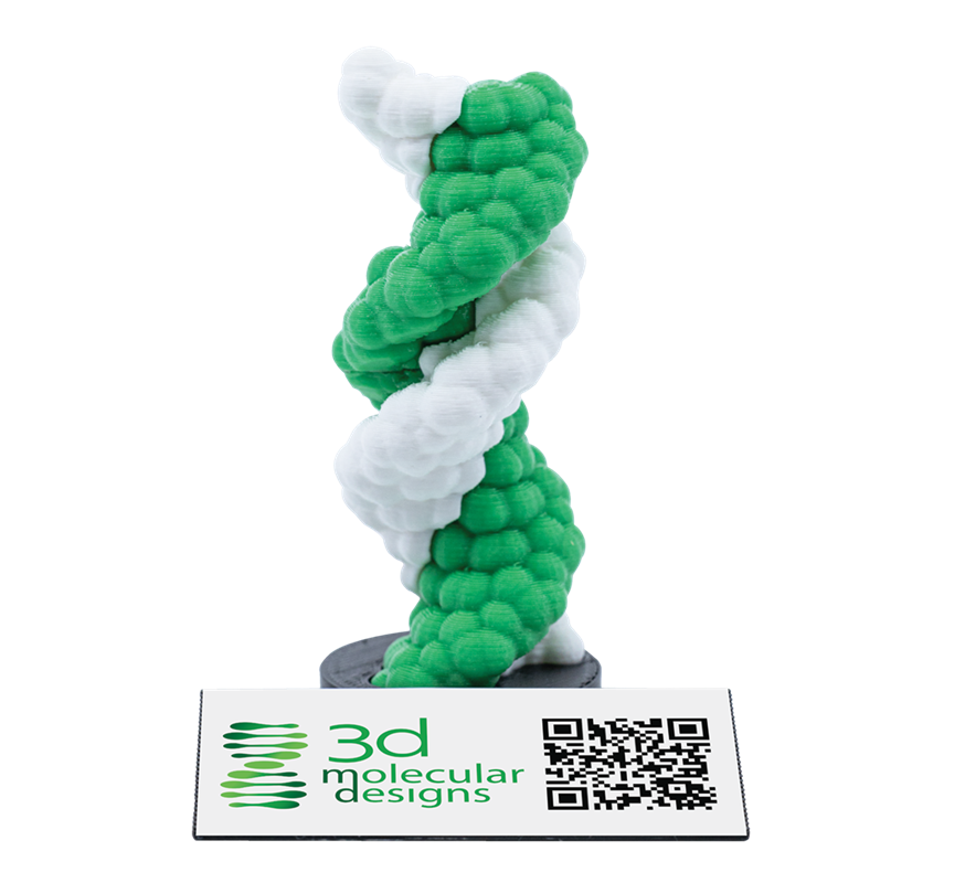 AR-Enhanced DNA Helix Micro-Model©