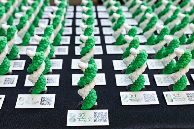 AR-Enhanced DNA Helix Micro-Model©