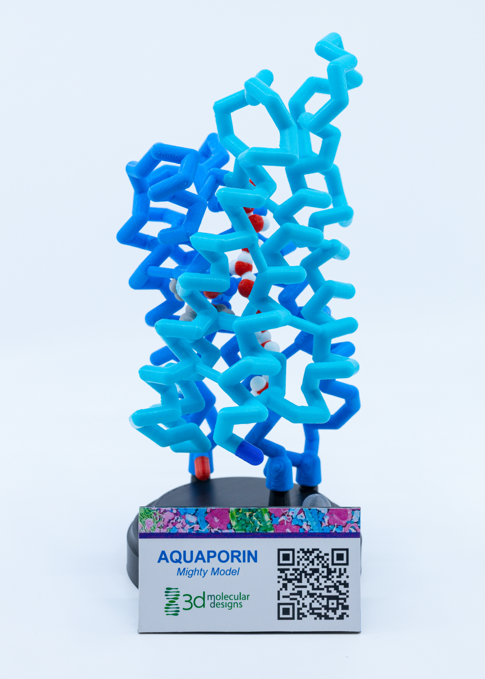 Mighty Model Channel Protein Collection©