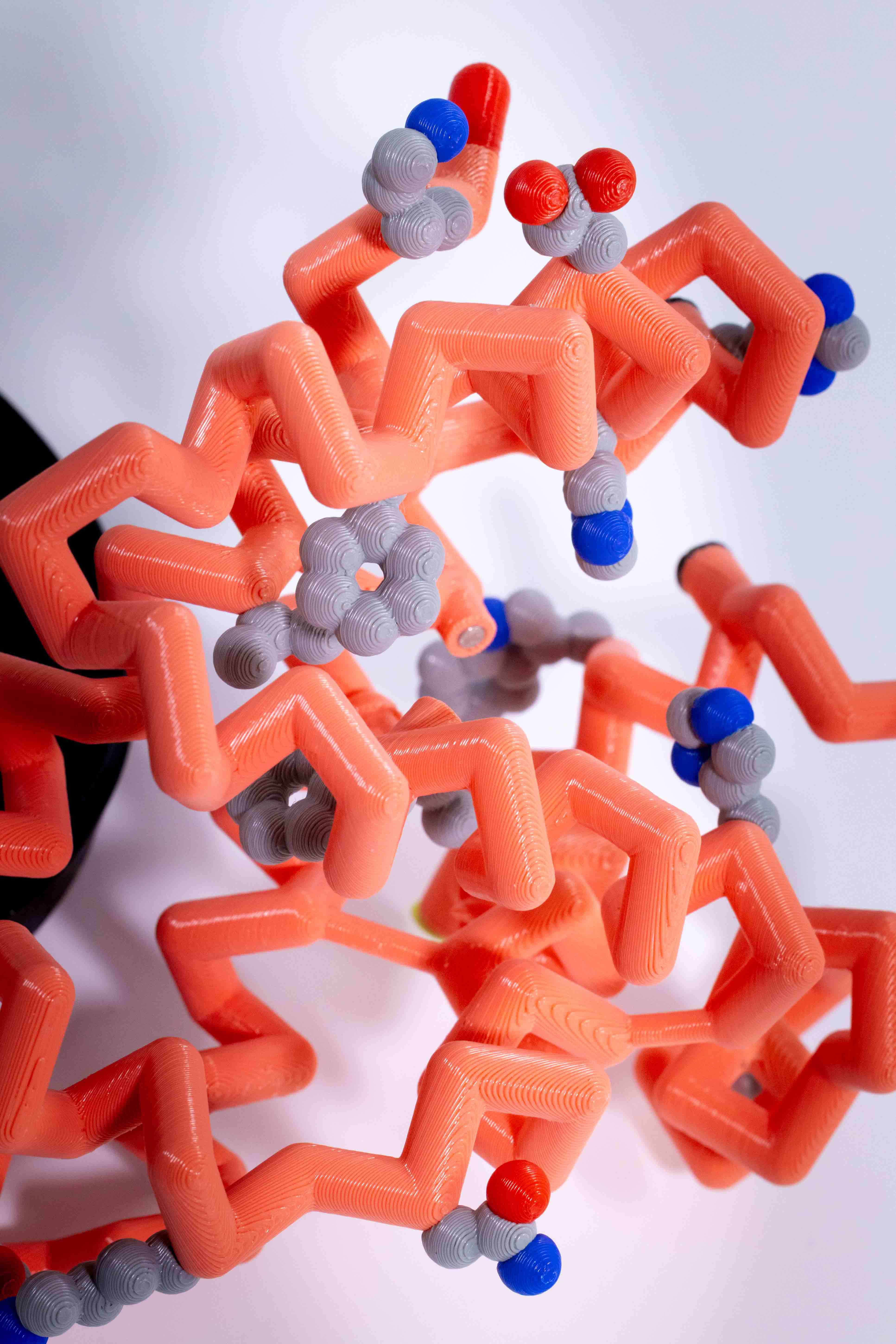 Hemoglobin Mighty Model©