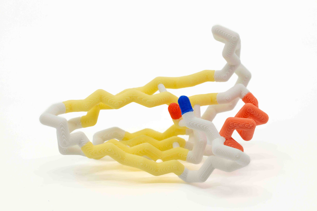 Science Olympiad Protein Events