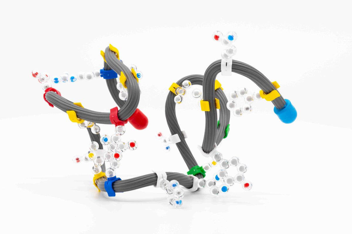 Science Olympiad Protein Events