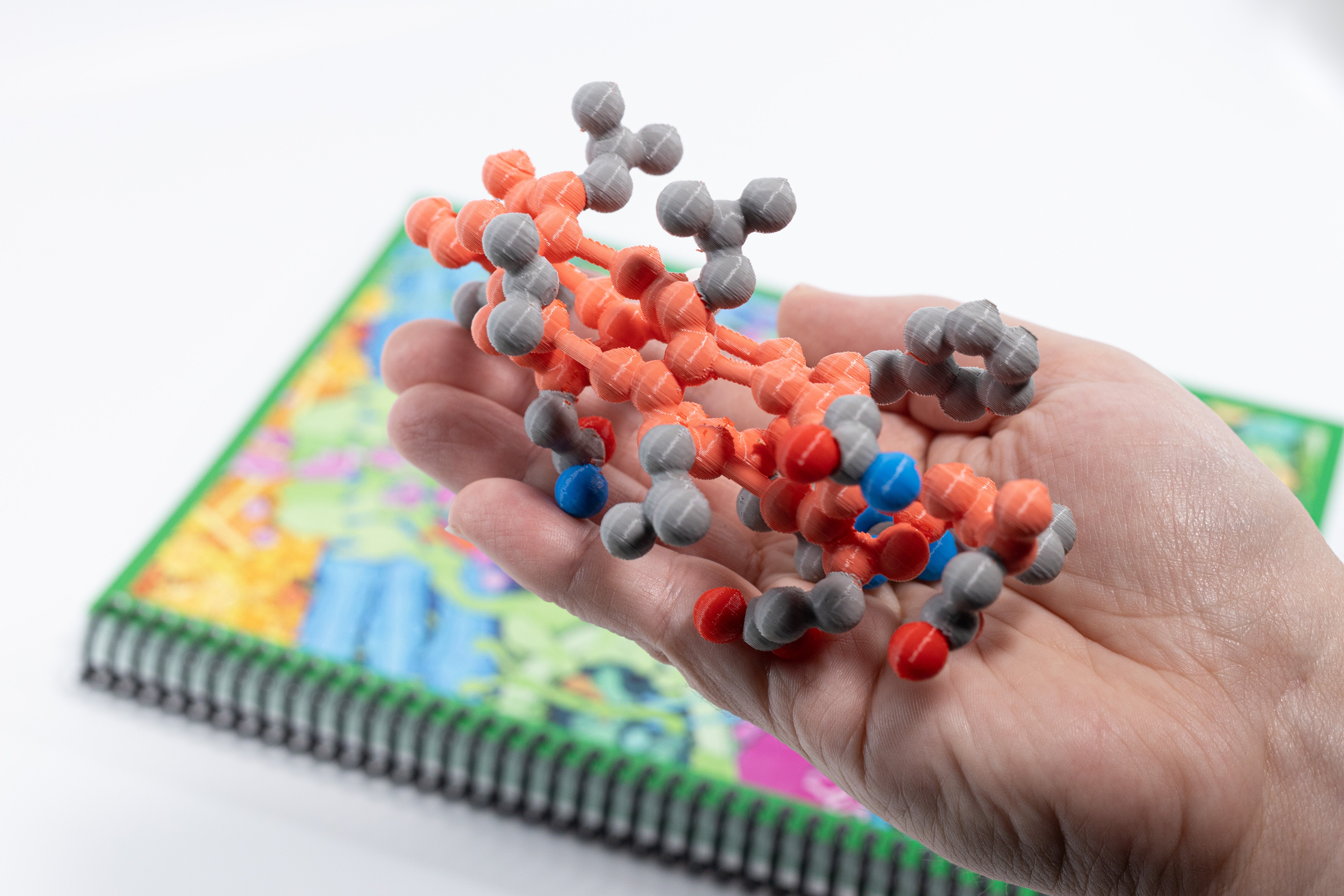 Alpha Helix & Beta Sheet Structure Sets©