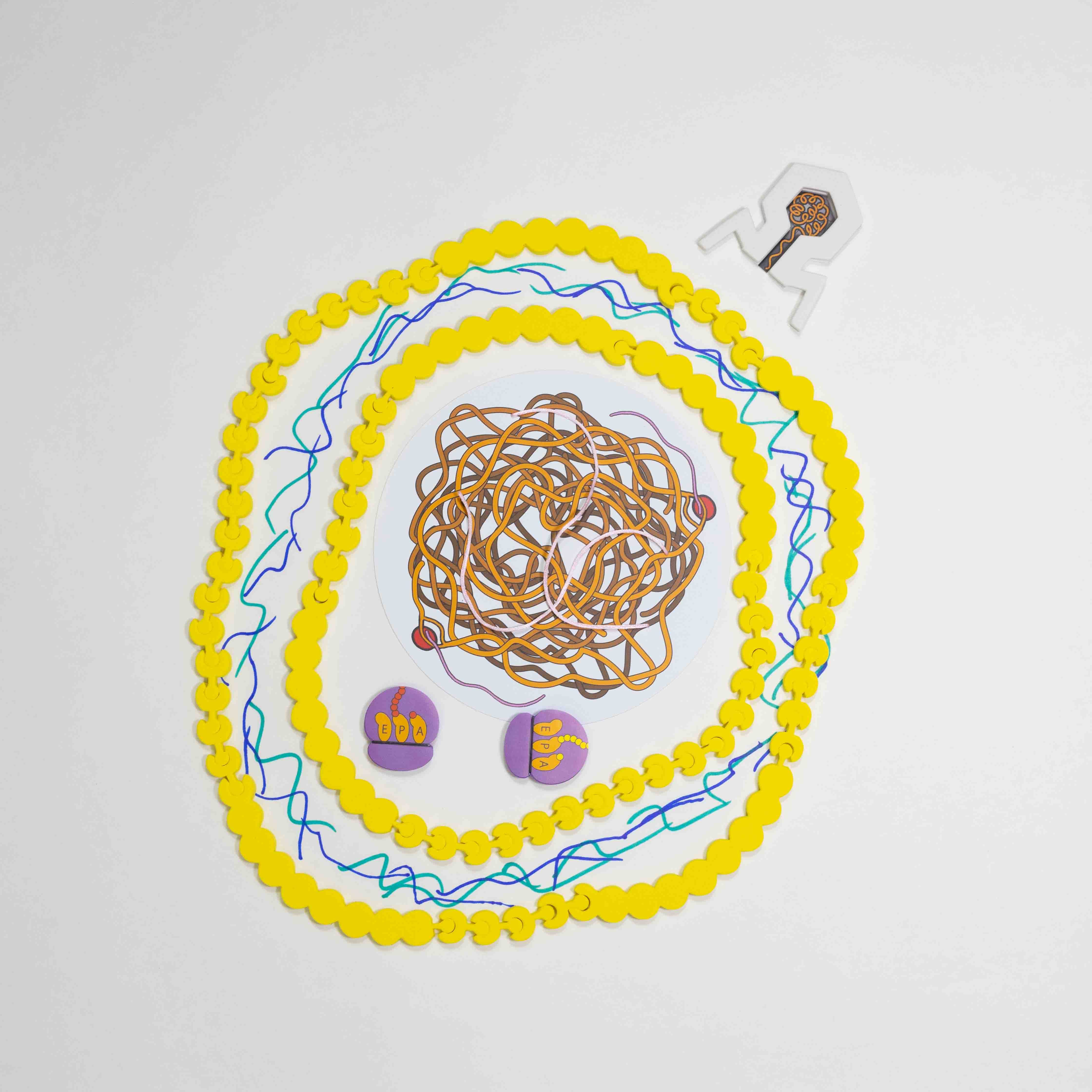 Cell Modeling Kit©