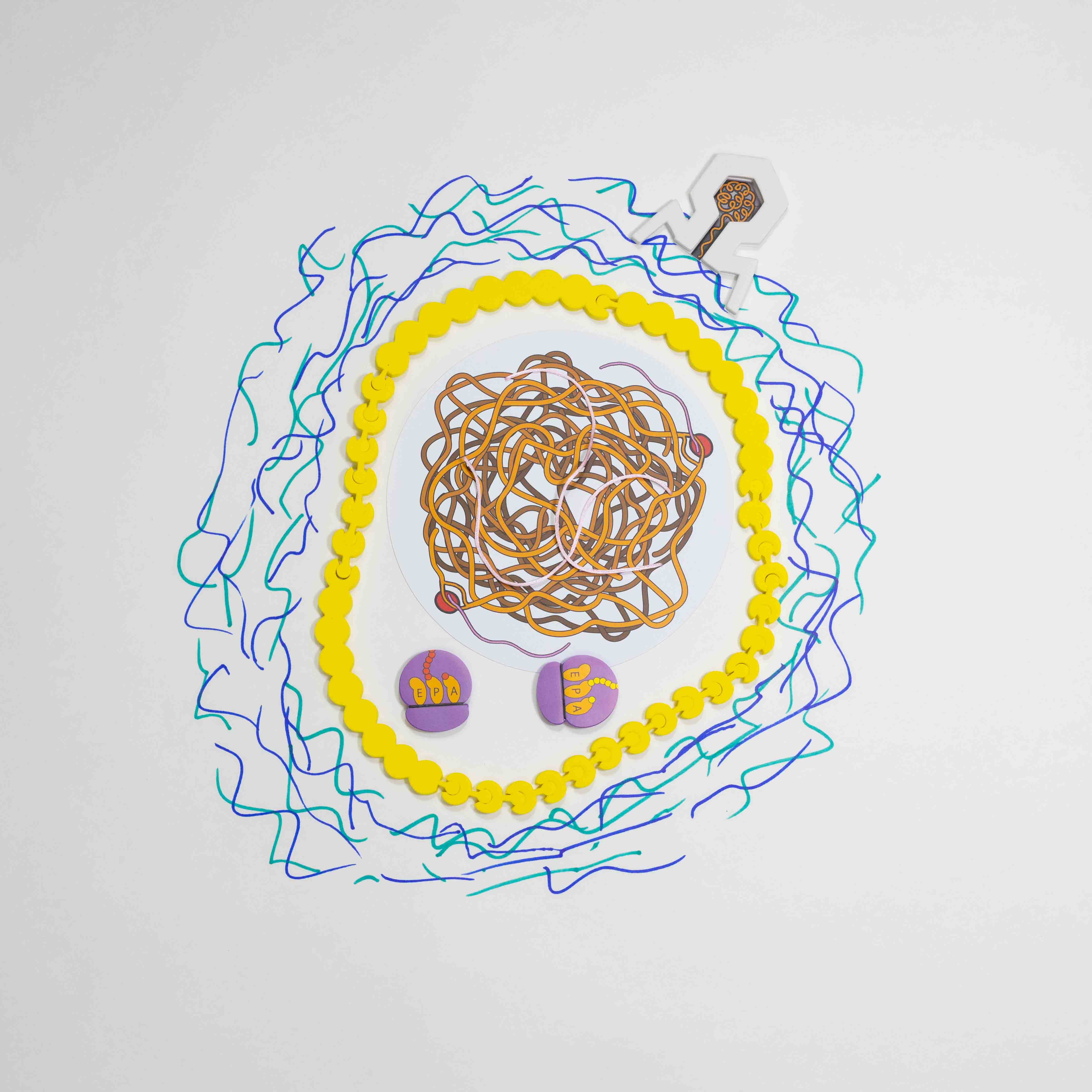 Cell Modeling Kit©