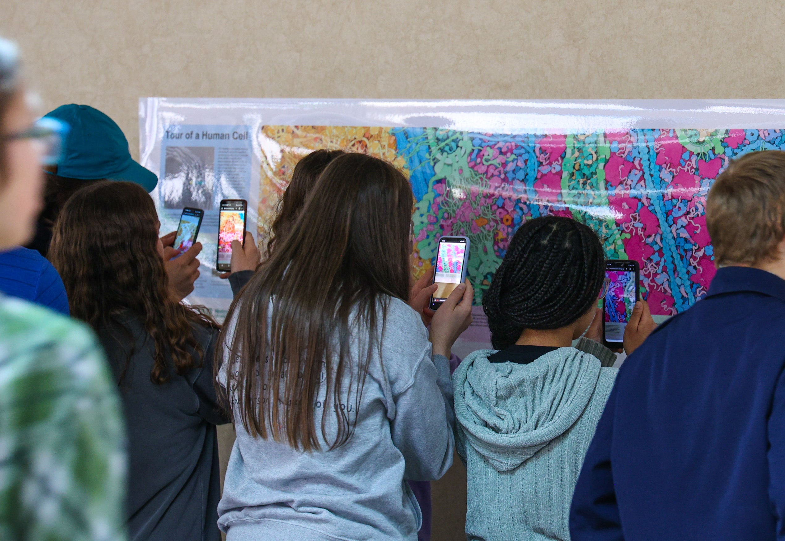 Tour of a Human Cell©