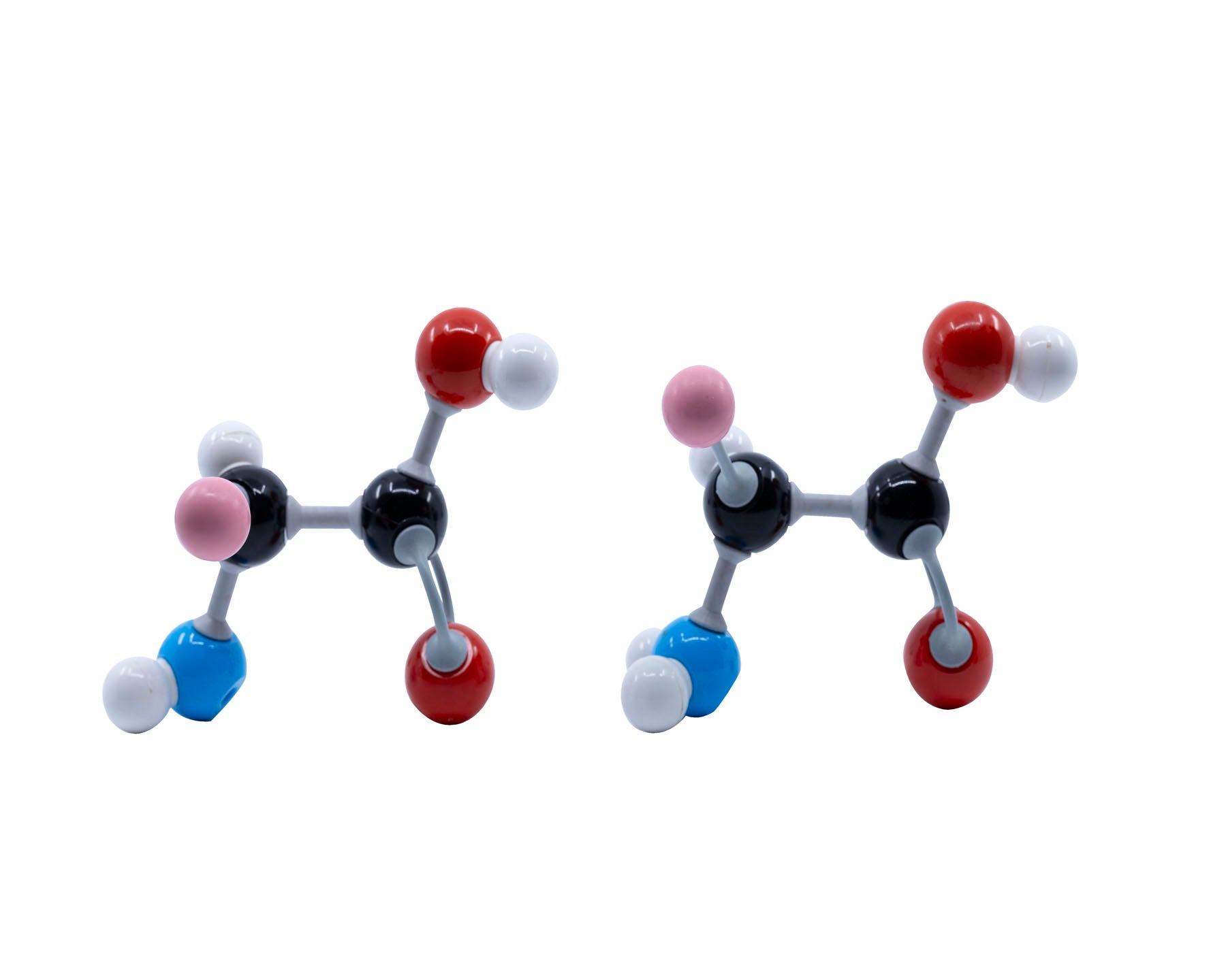 Amino Acid Building Block Models©