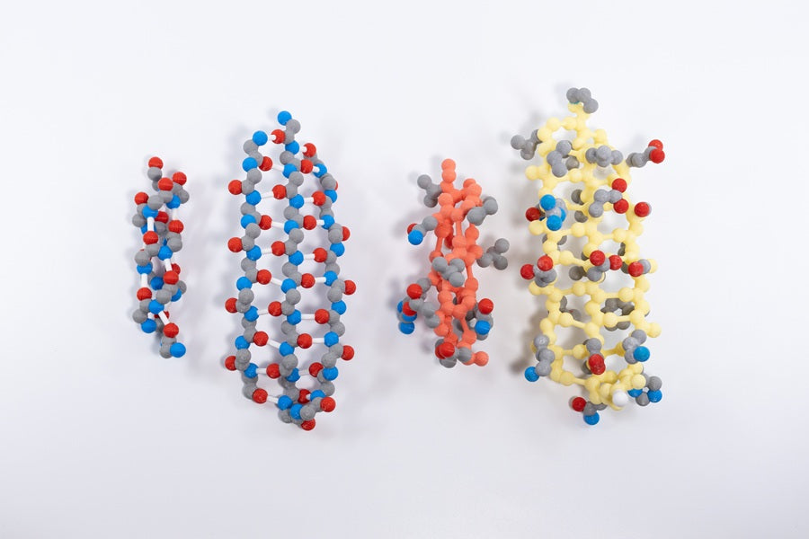 Alpha Helix & Beta Sheet Structure Sets©