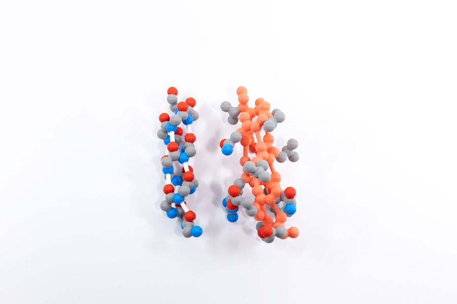 Alpha Helix & Beta Sheet Structure Sets©