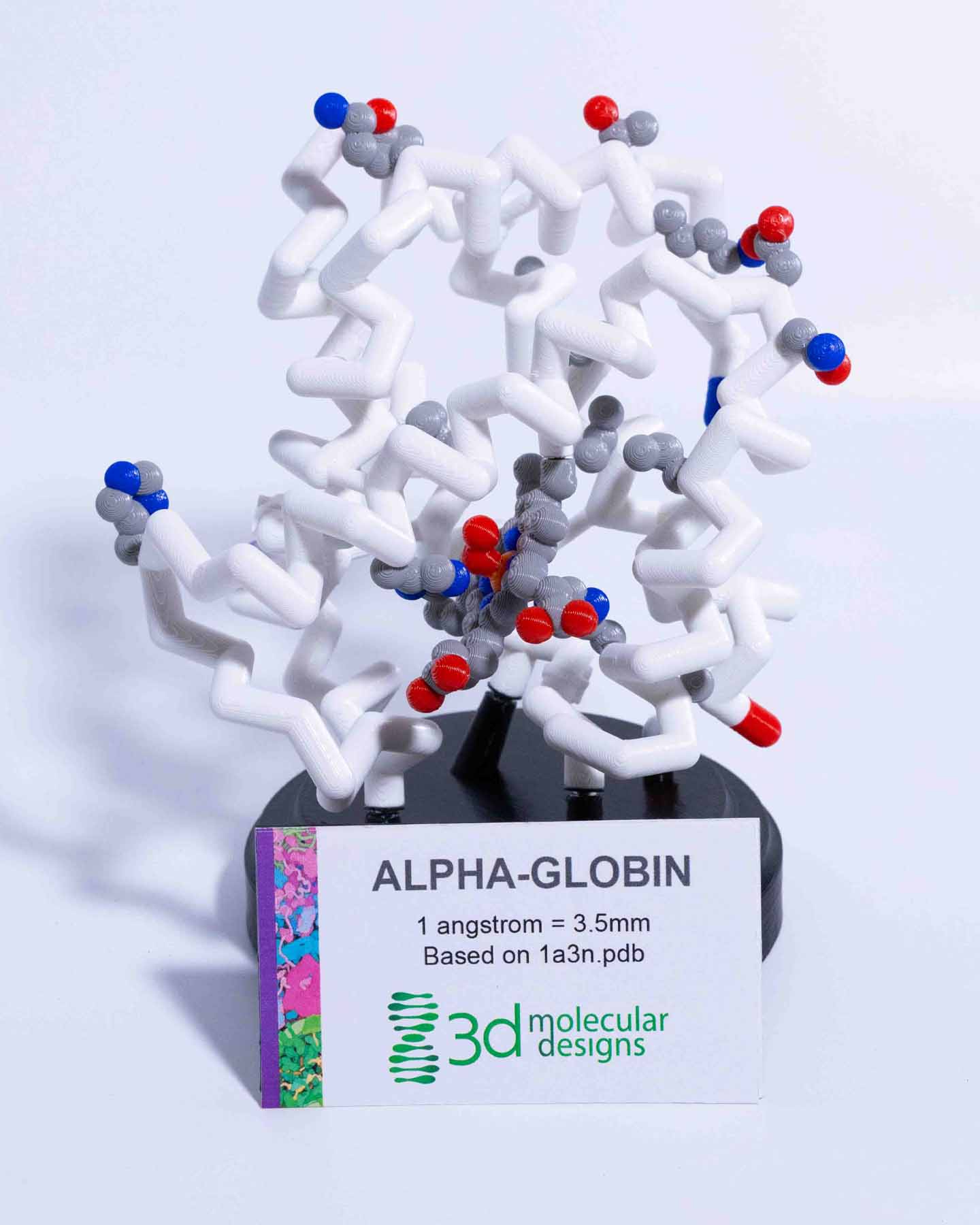 Hemoglobin Mighty Model©