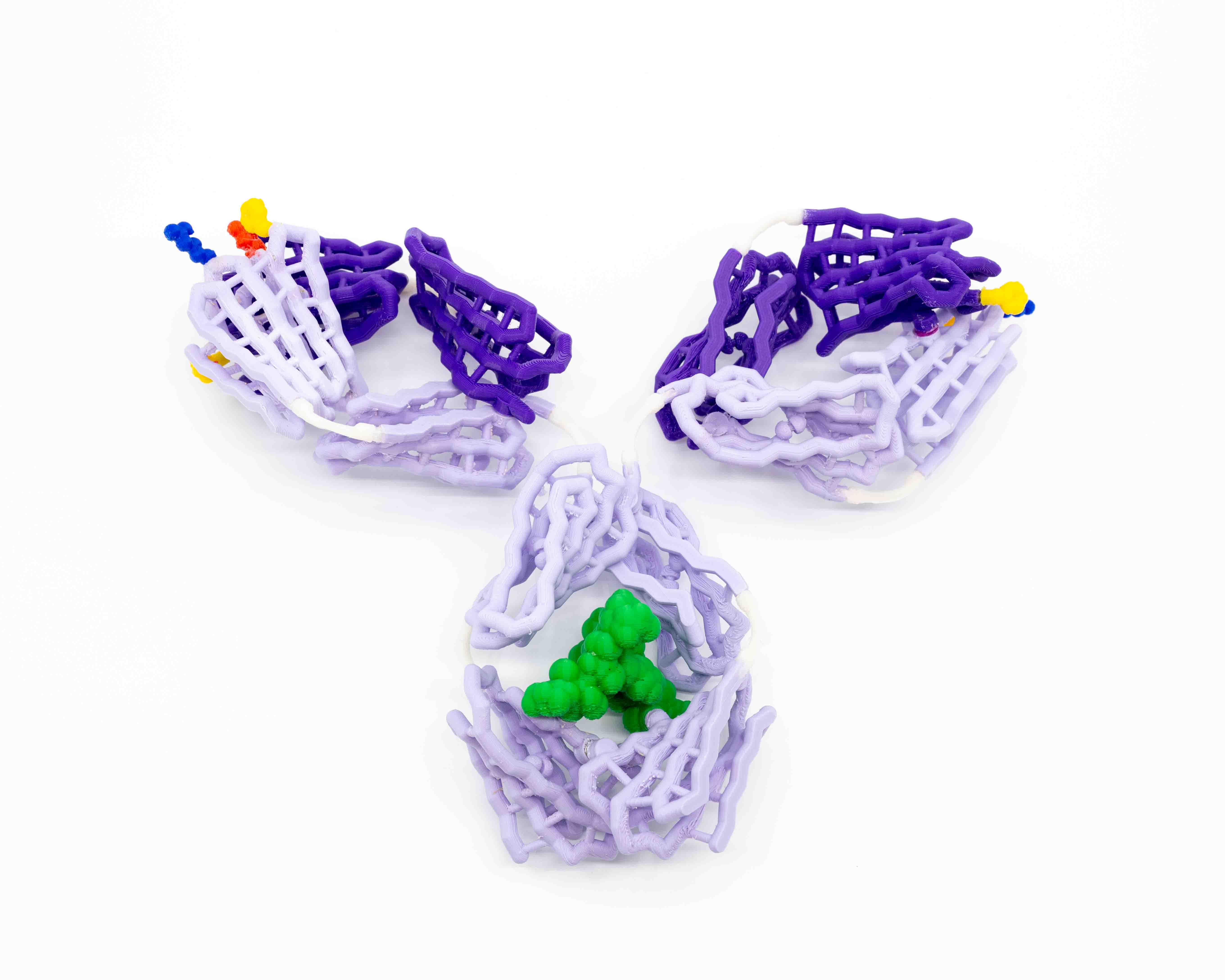 Antibody Mighty Model©