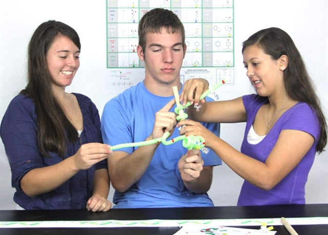ß-Globin Folding Kit©