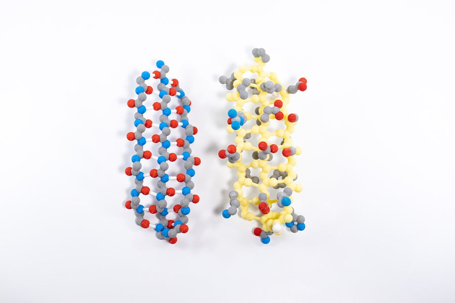 Alpha Helix & Beta Sheet Structure Sets©
