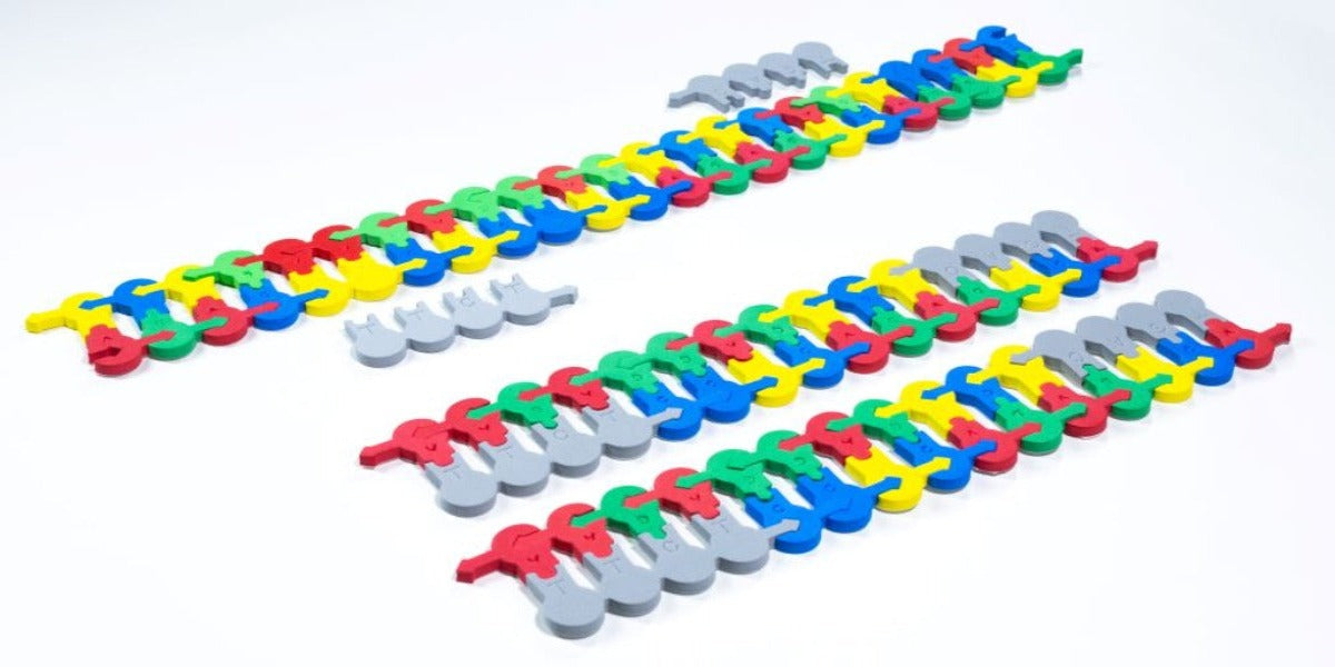 Biotechnology Kit©