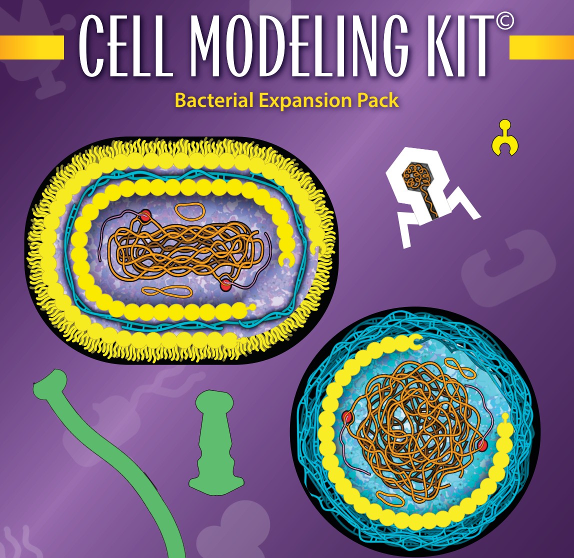Bacteria Expansion Pack