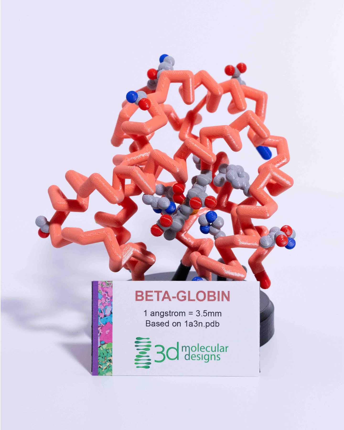 Hemoglobin Mighty Model©