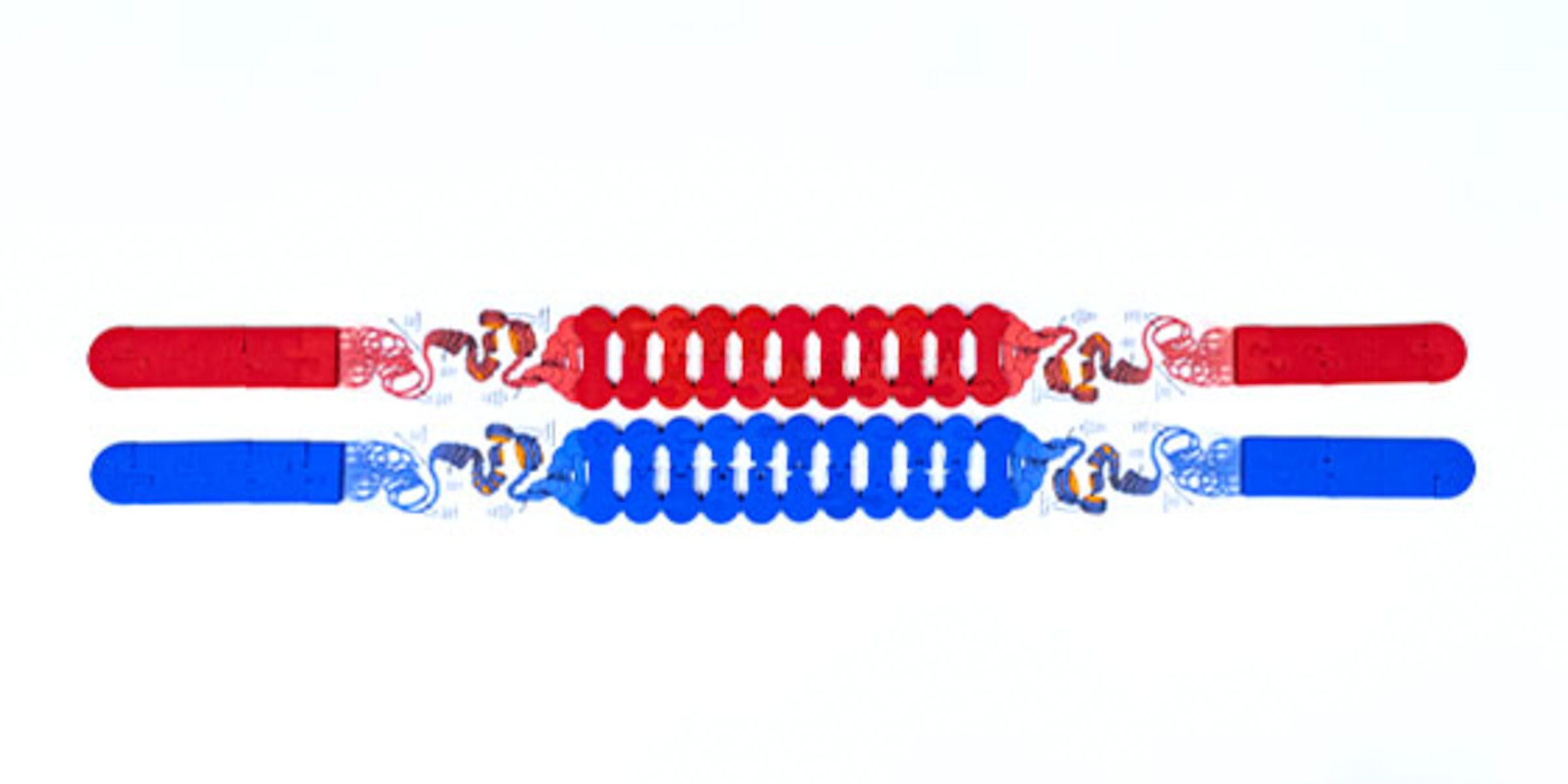 Chromosome Connections Kit©