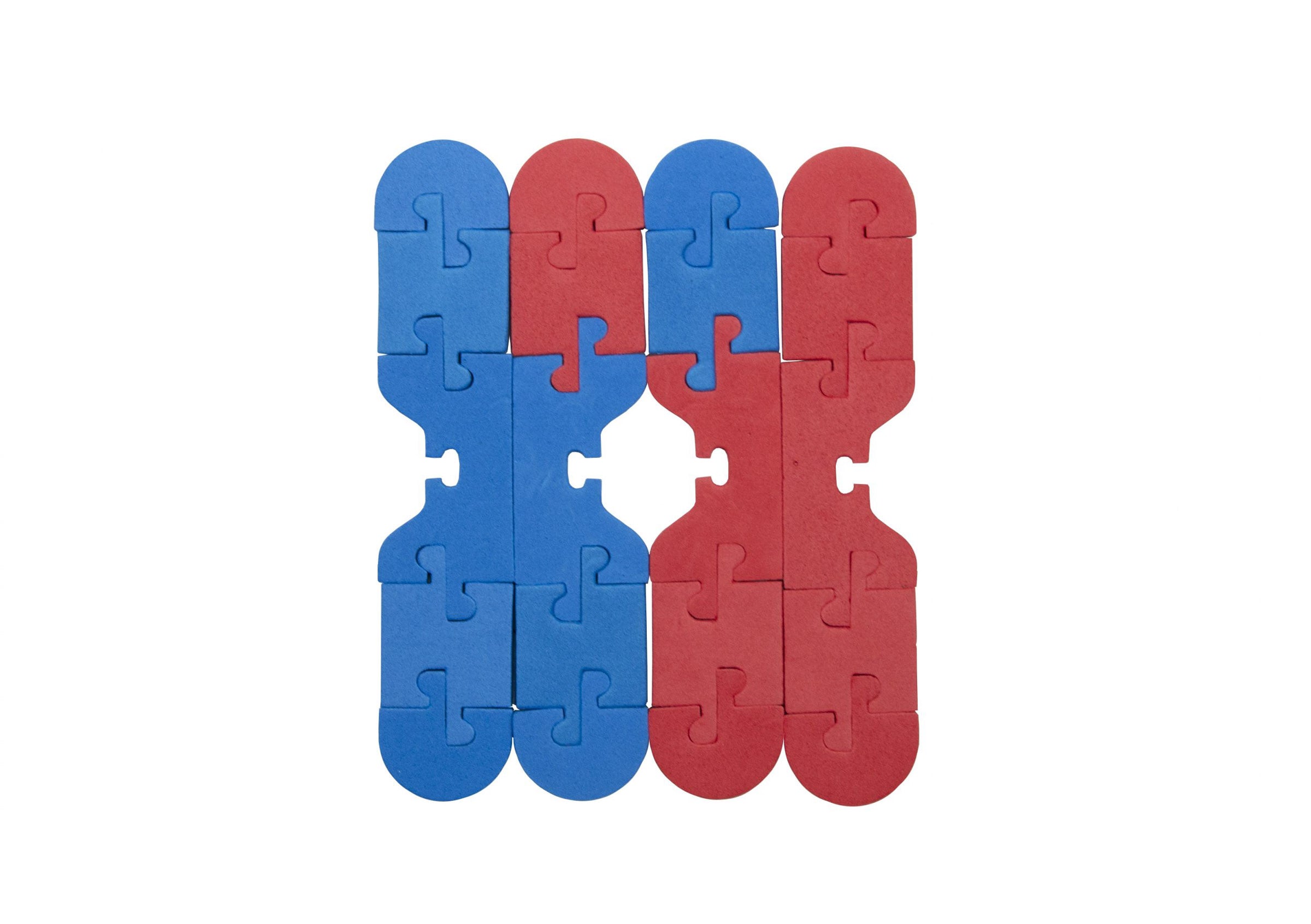 Chromosome Connections Kit©
