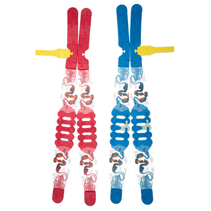 Chromosome Connections Kit©