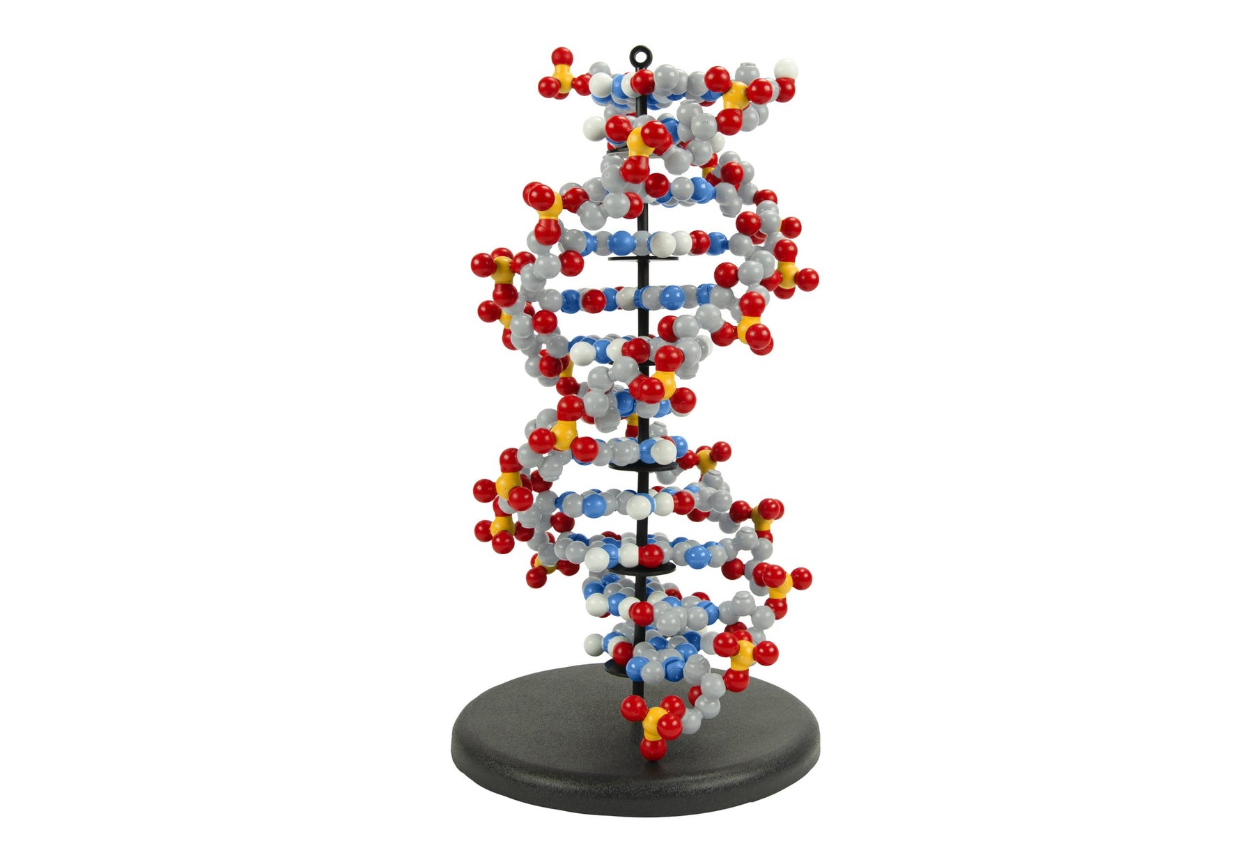 Dynamic DNA Kit©