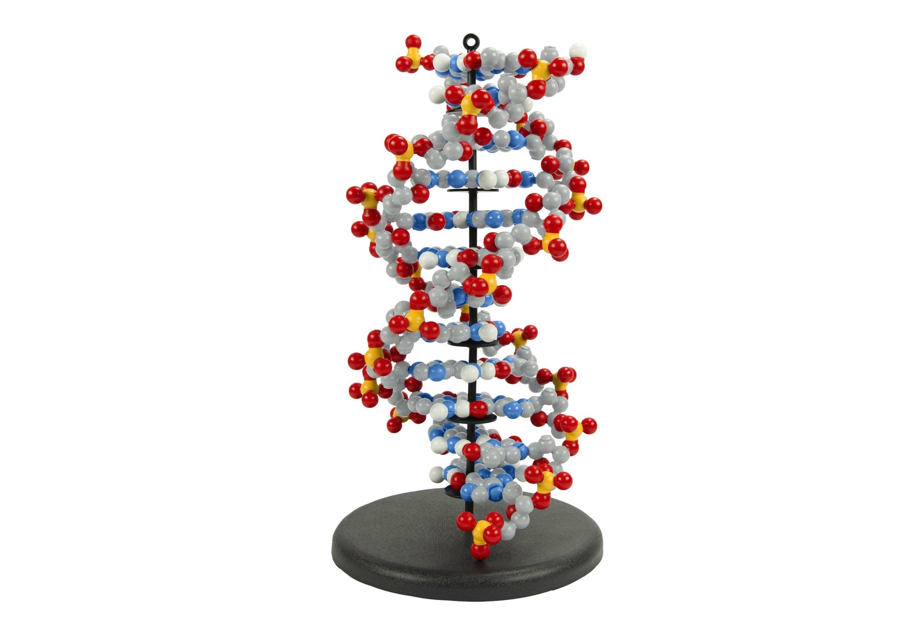 Dynamic Dna Kit©