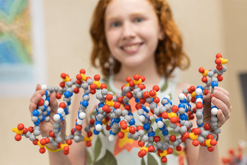 Dynamic DNA Kit©