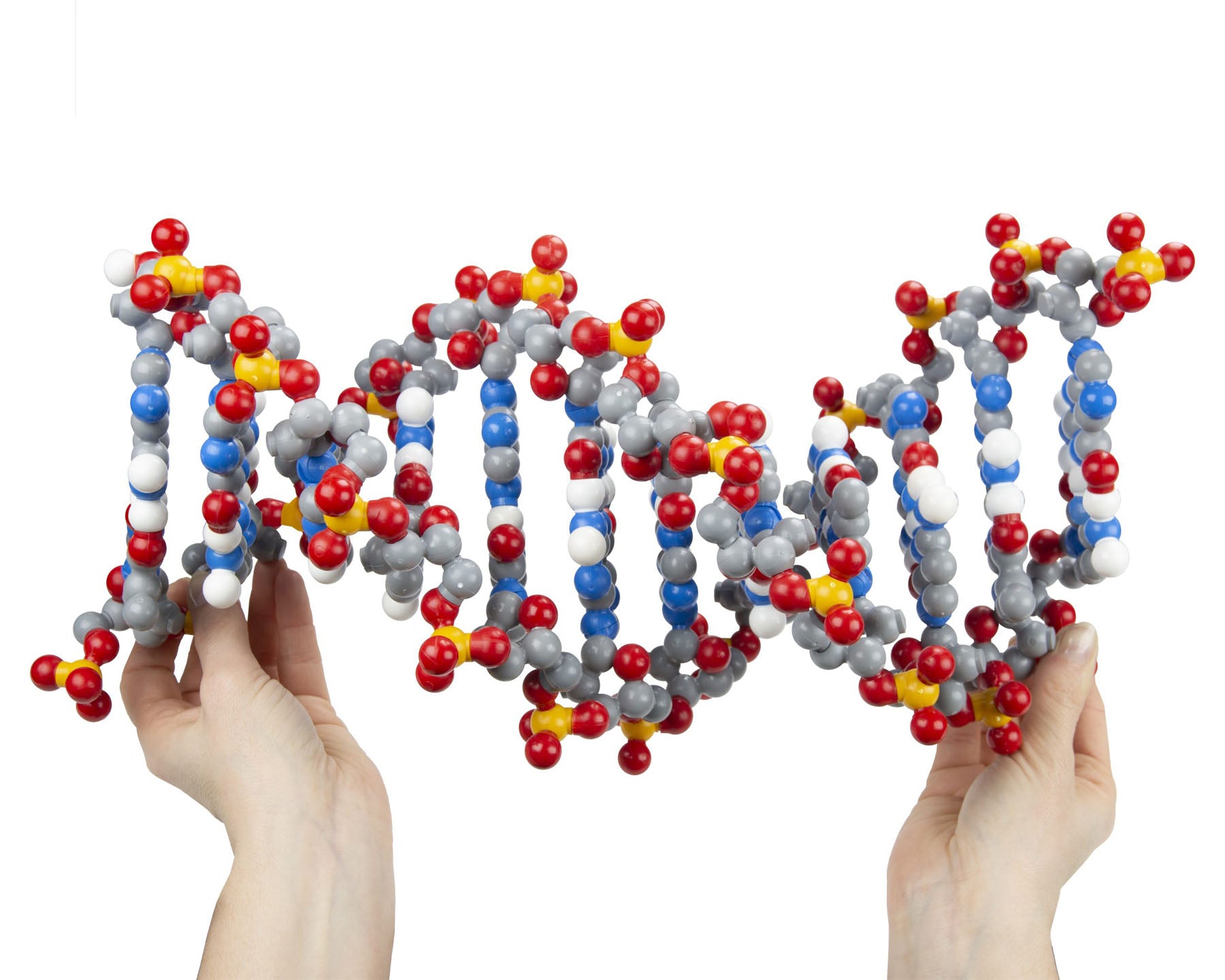 Dynamic DNA Kit©