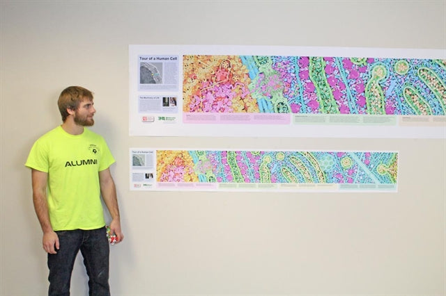 Tour of a Human Cell©