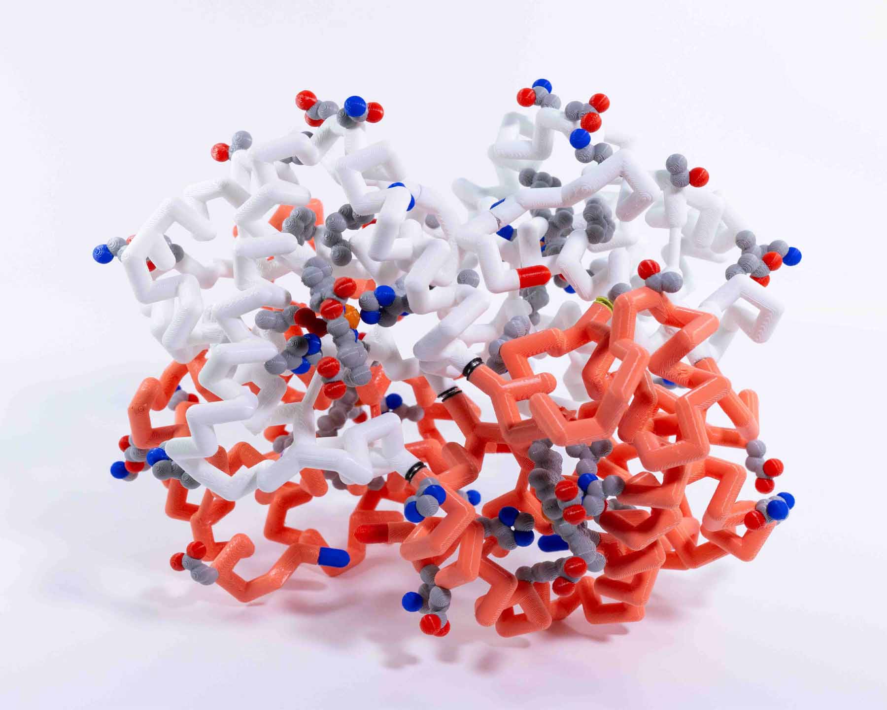 Hemoglobin Mighty Model©