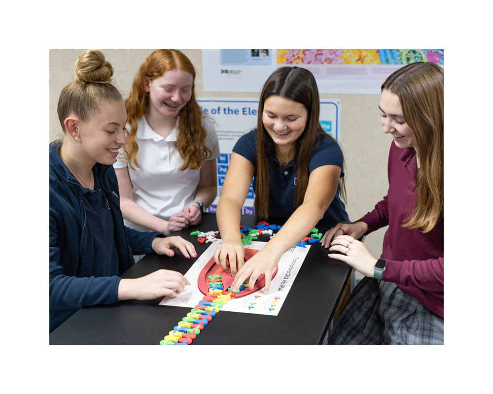 Flow of Genetic Information Kit©