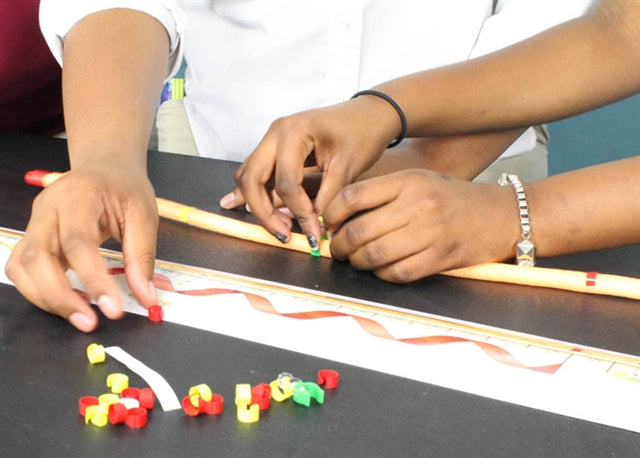 Insulin mRNA to Protein Kit©