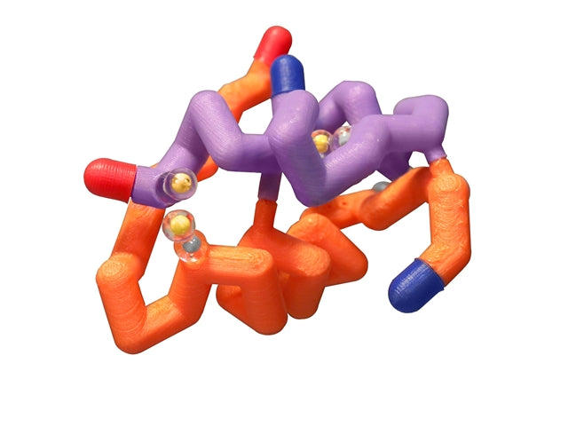 Insulin Model©