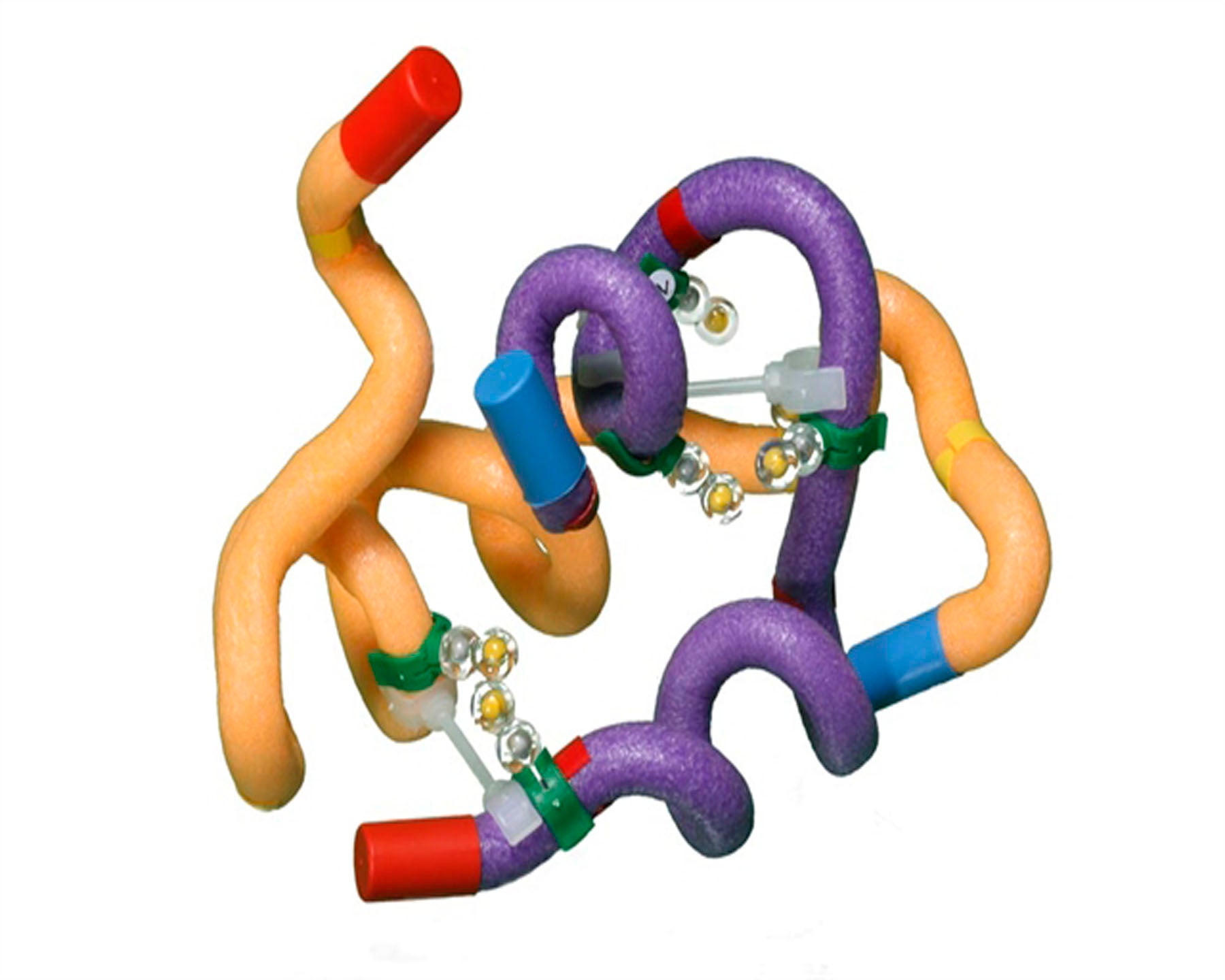 Insulin mRNA to Protein Kit©