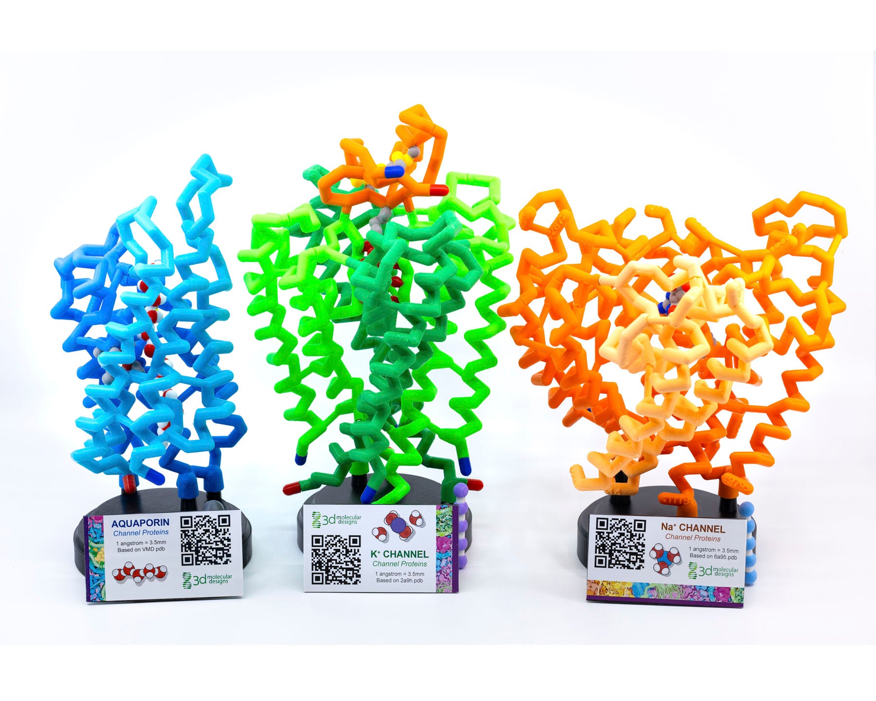 Mighty Model Channel Protein Collection©