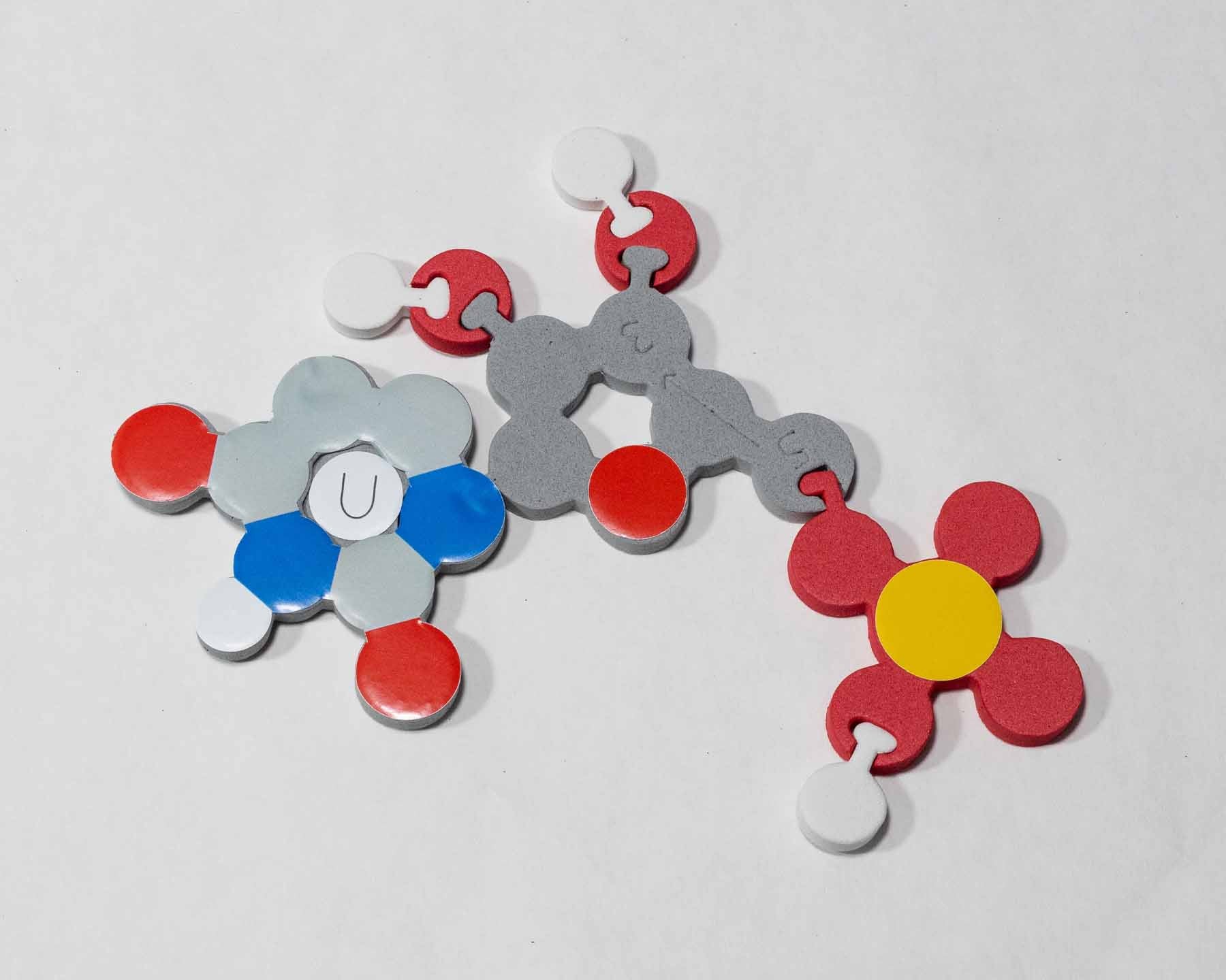 Molecules of Life Modeling Kit©