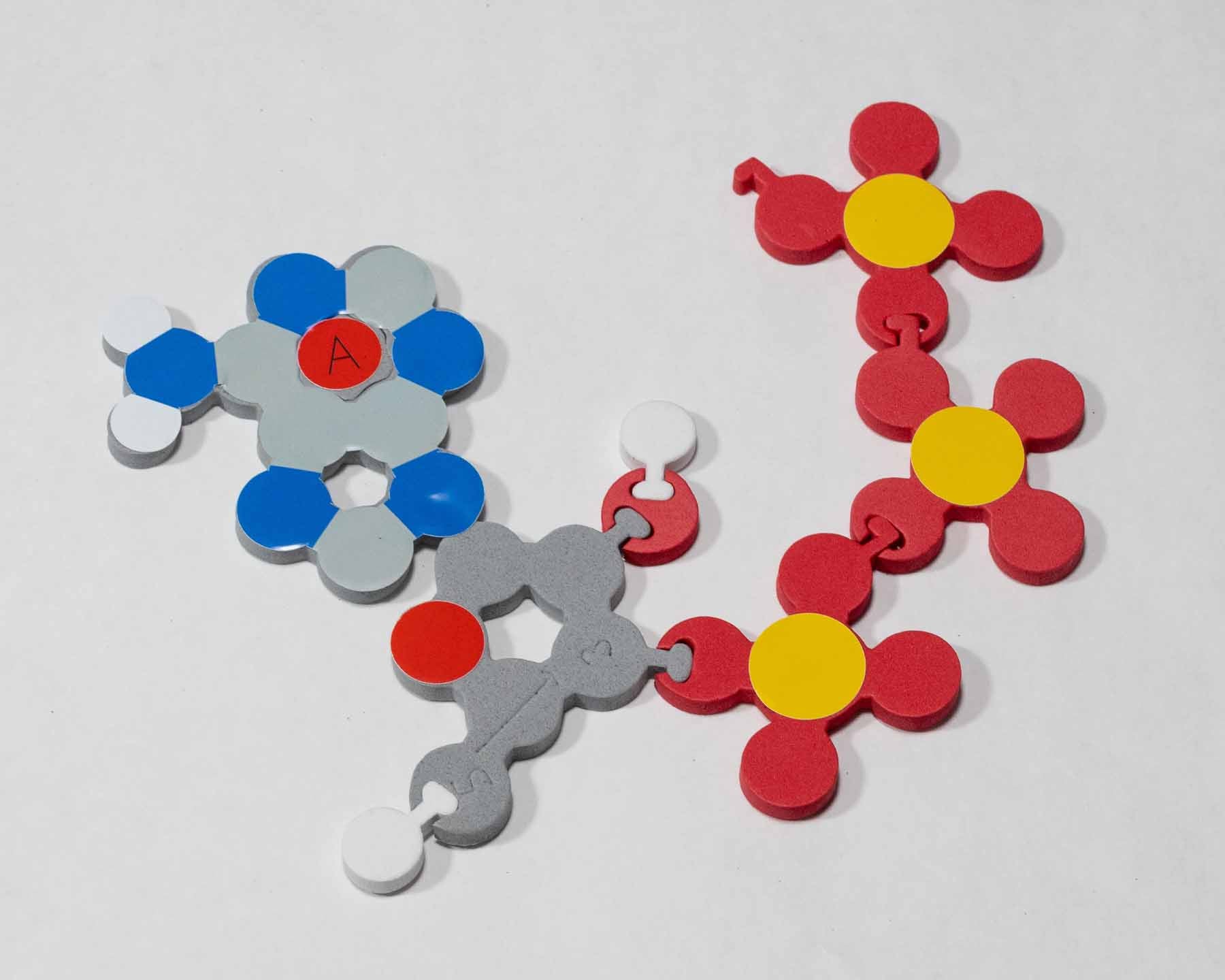 Molecules of Life Modeling Kit©