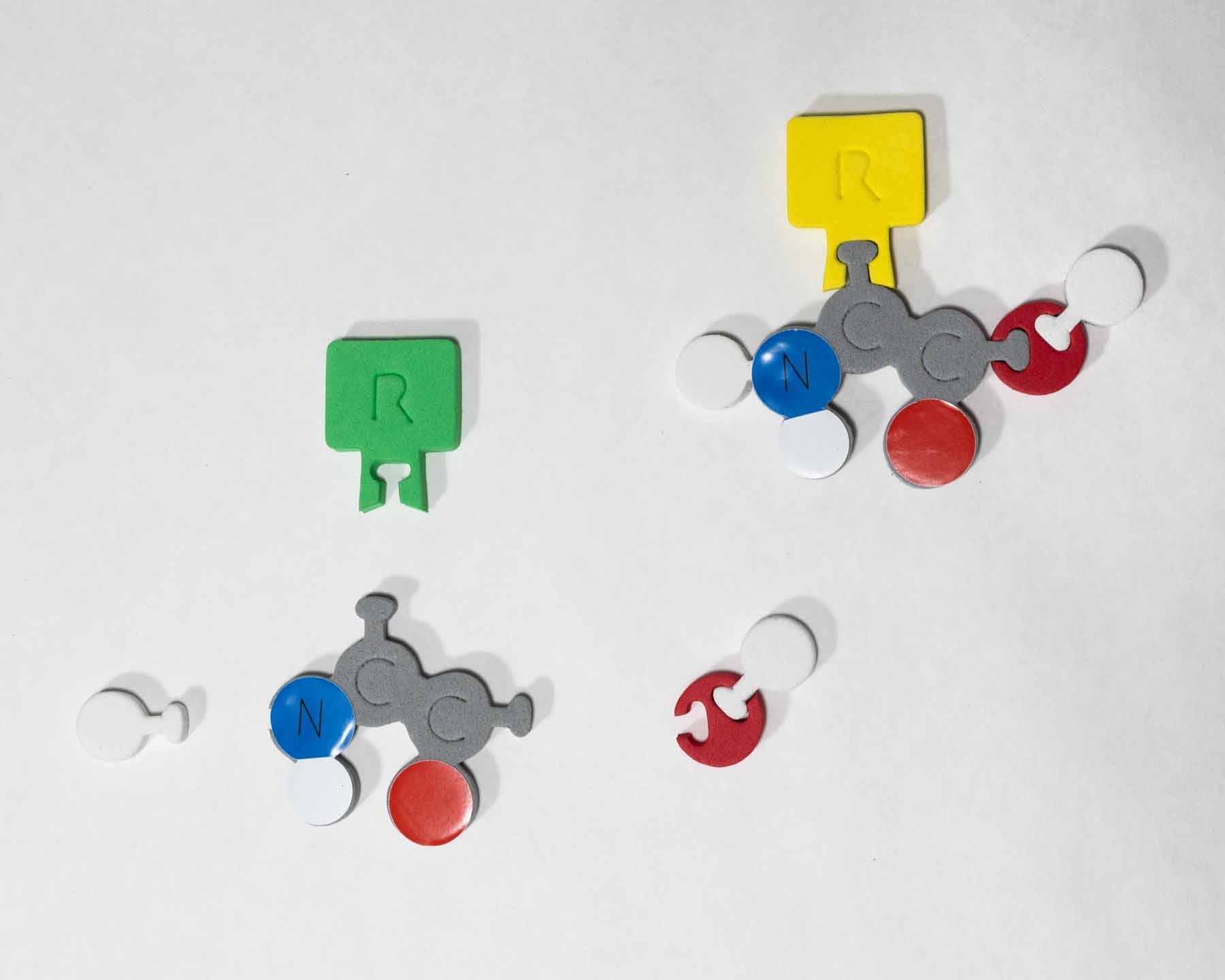 Molecules of Life Modeling Kit©