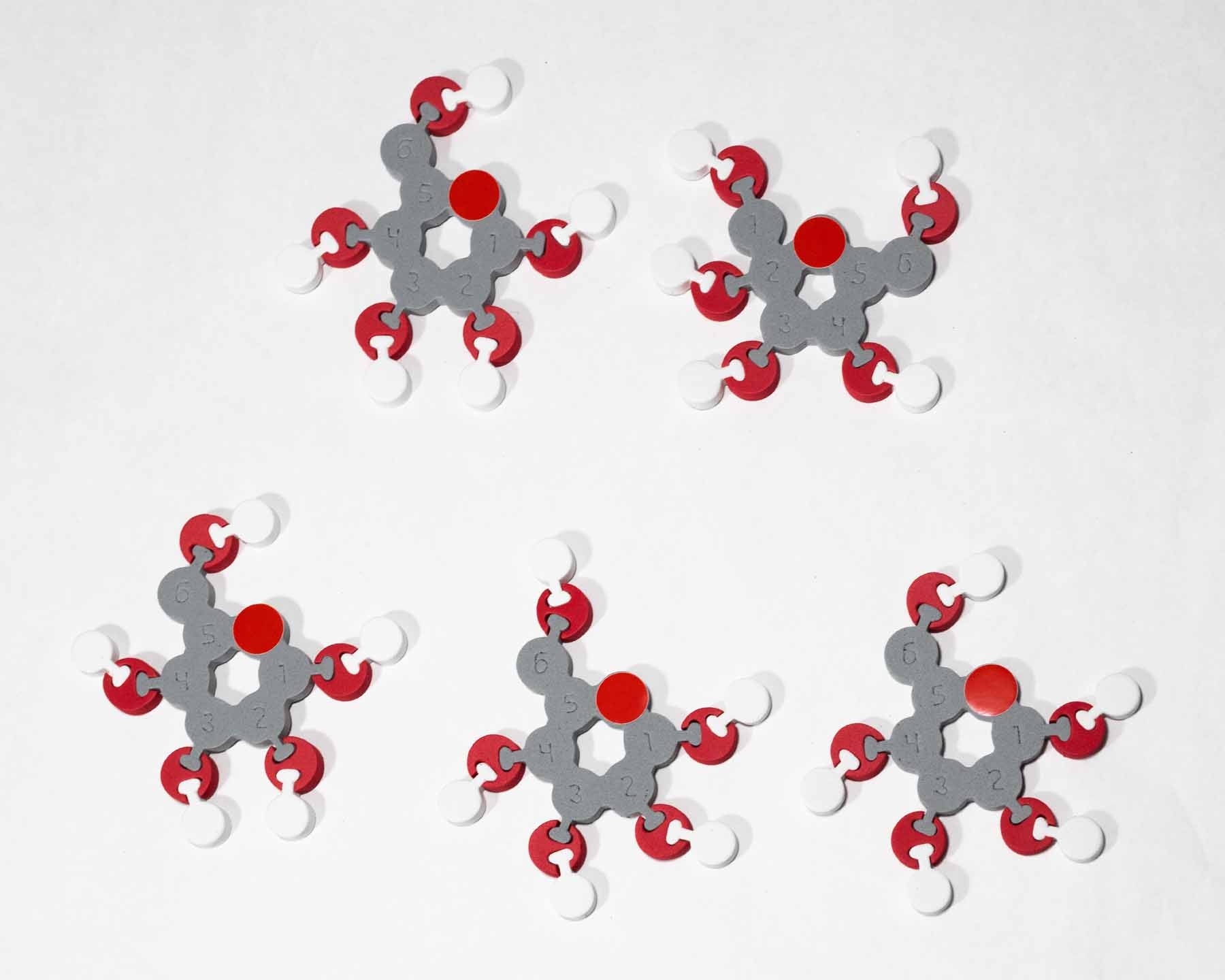 Molecules of Life Modeling Kit©