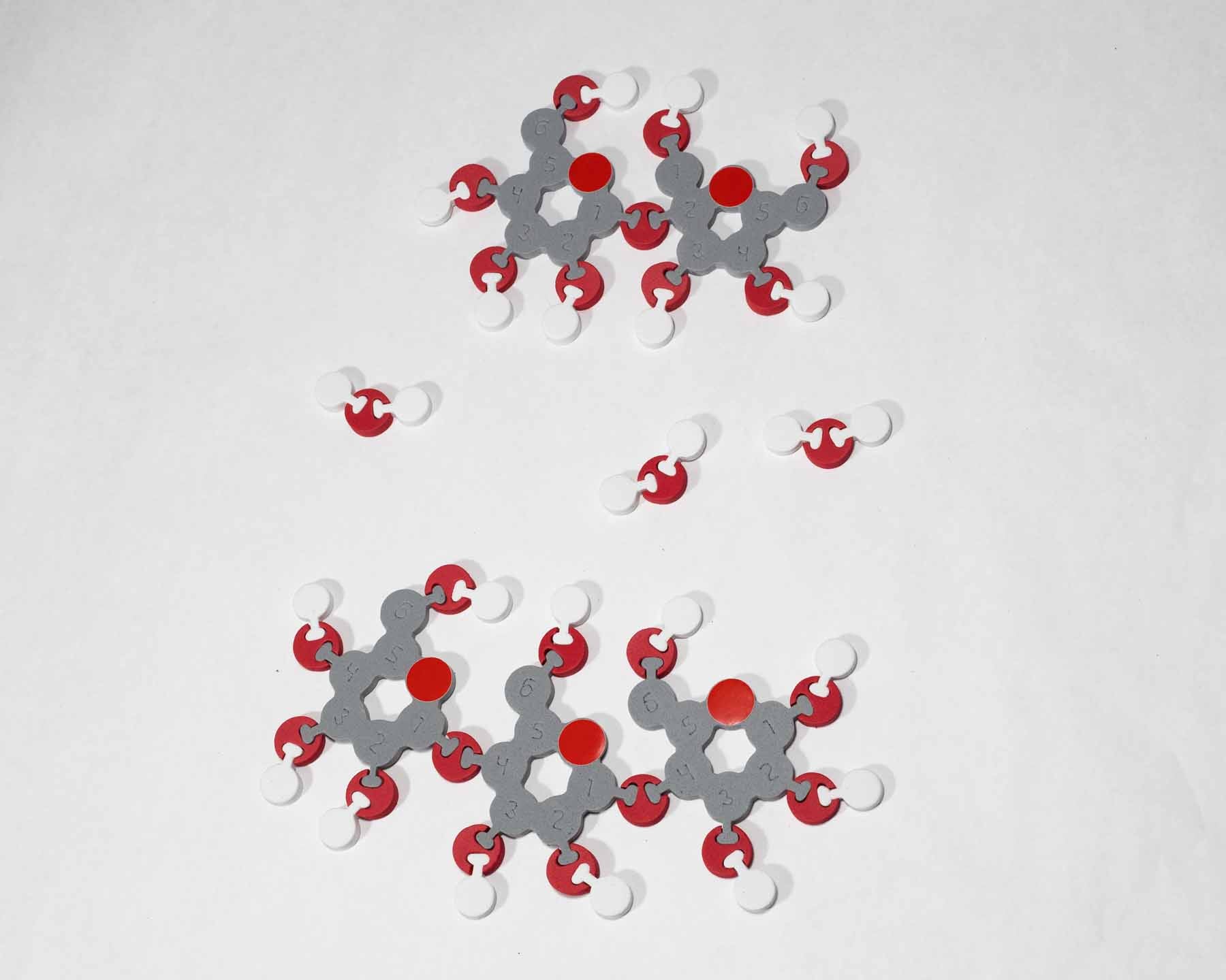 Molecules of Life Modeling Kit©