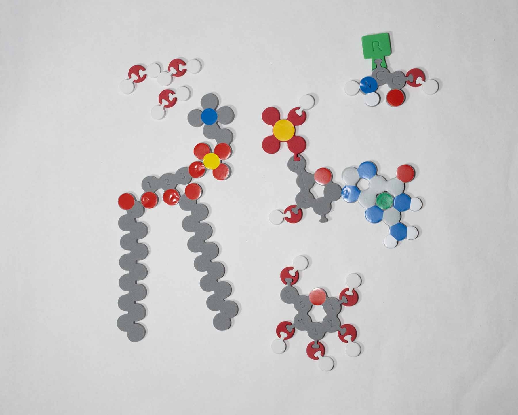 Molecules of Life Modeling Kit©