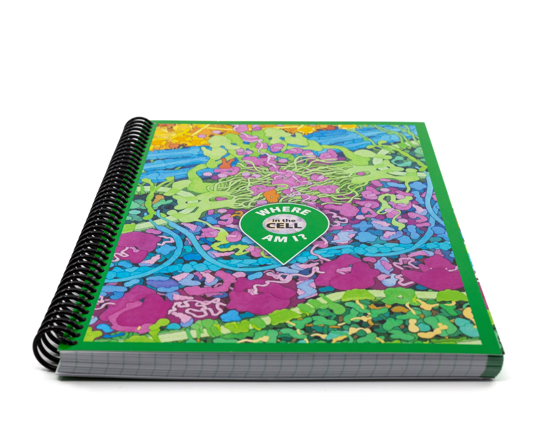 Interactive Lab Notebook