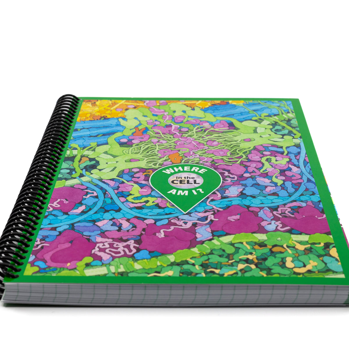 Interactive Lab Notebook
