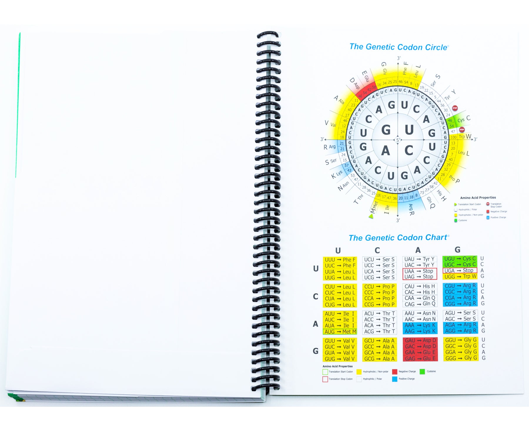 Interactive Lab Notebook