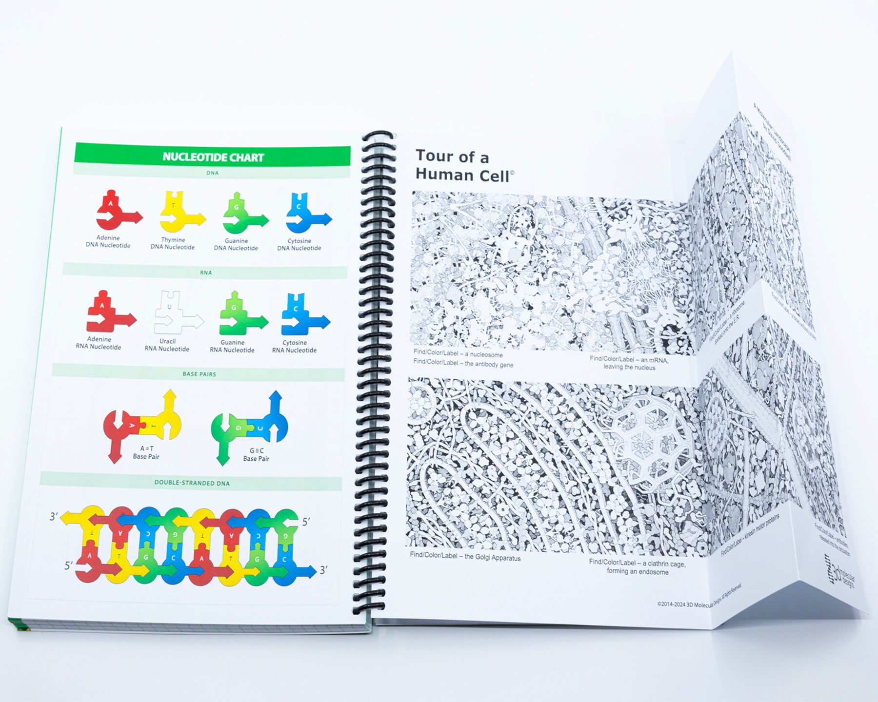 AR Interactive Lab Notebook