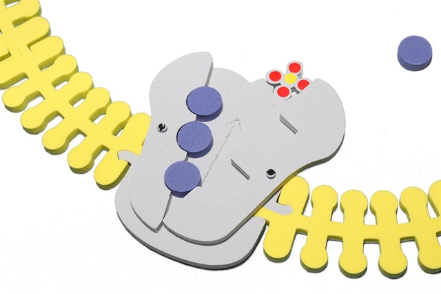 Phospholipid & Membrane Transport Kit©